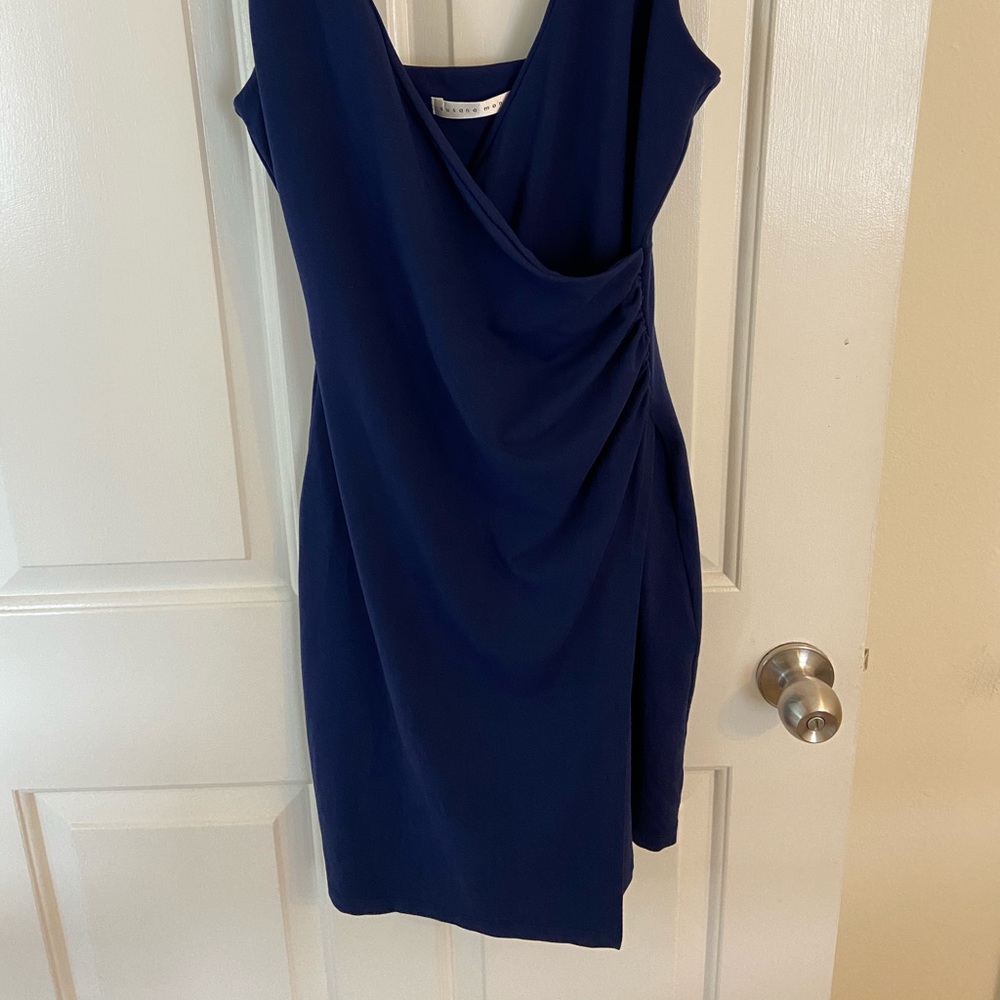 Susana Monaco dress